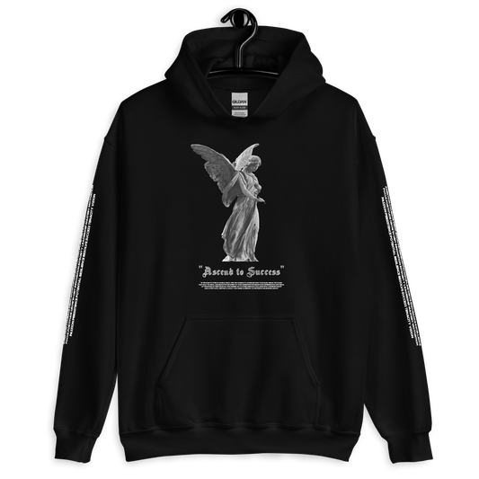 "Visionary Path Hoodie: Dream, Ascend, Conquer – The Inspirational Edition"